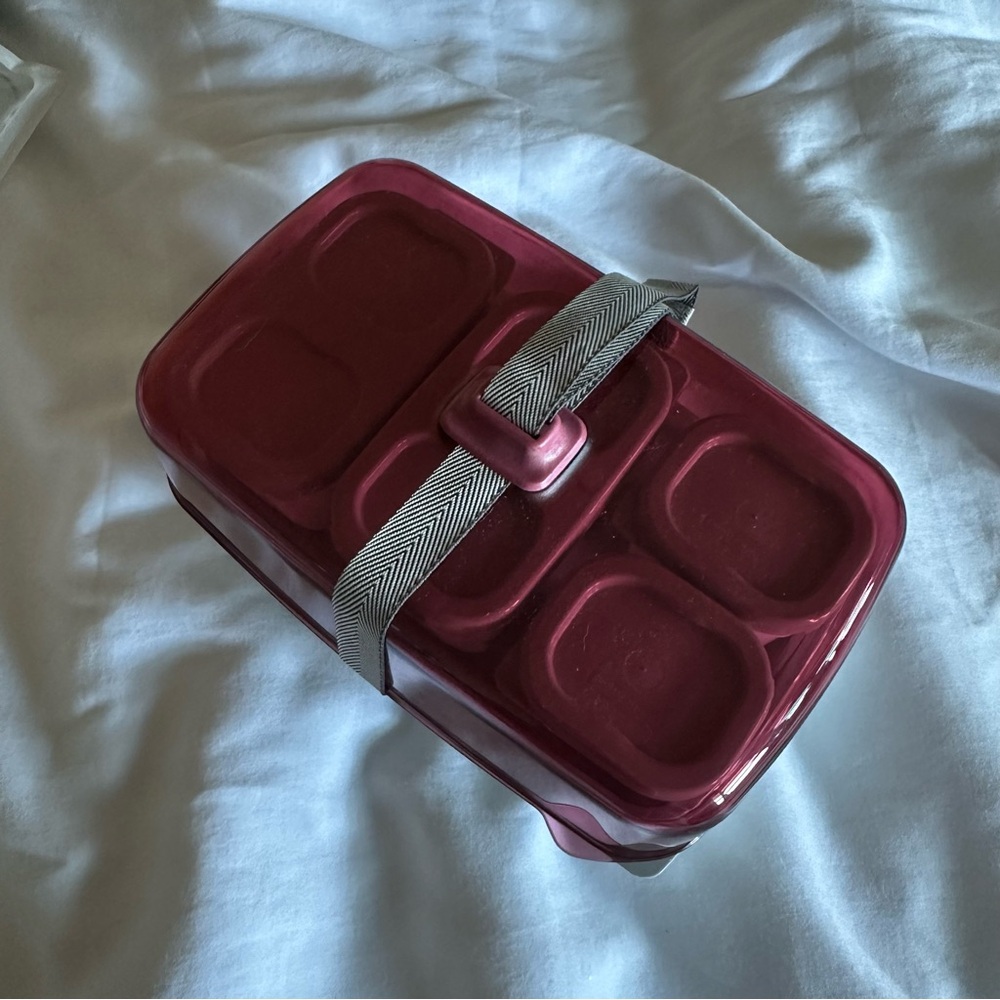 Red Rubbermaid Bento Box